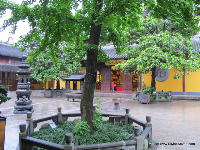 longhua_temple__14_.JPG