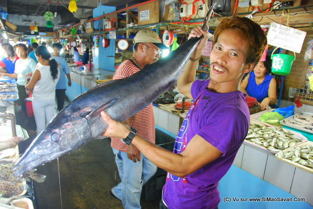 palawan_philippines__60_.JPG