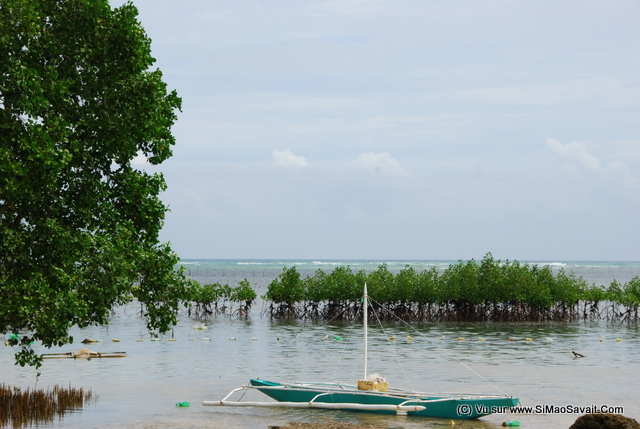 palawan_philippines__60_.JPG