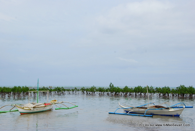 palawan_philippines__60_.JPG