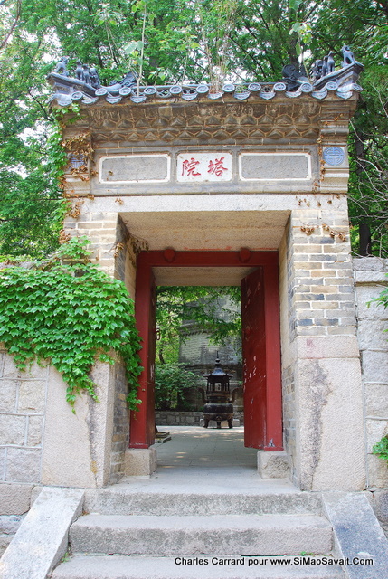 qingdao_chine__11_.JPG