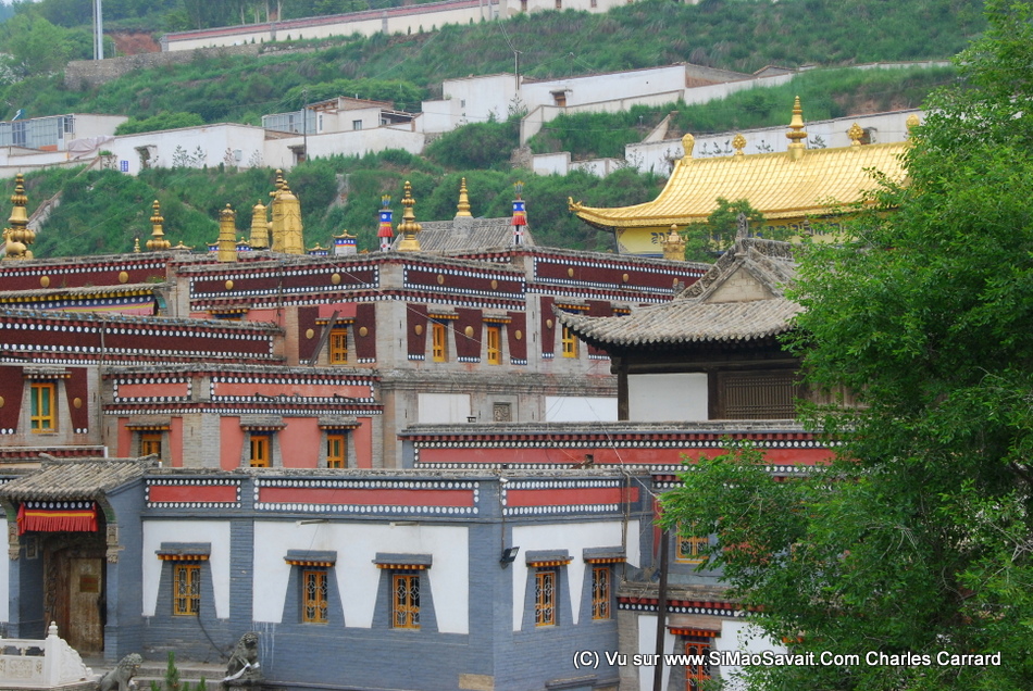 Qinghai/Kumbum/monastere_kumbum (11).JPG