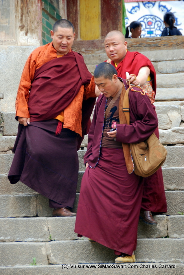 Qinghai/Kumbum/monastere_kumbum (21).JPG