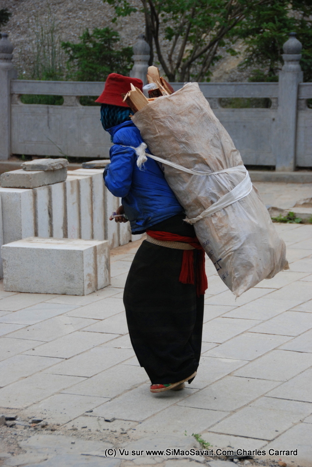 Qinghai/Kumbum/monastere_kumbum (21).JPG