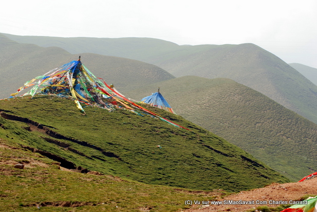 lac qinghai (11).JPG