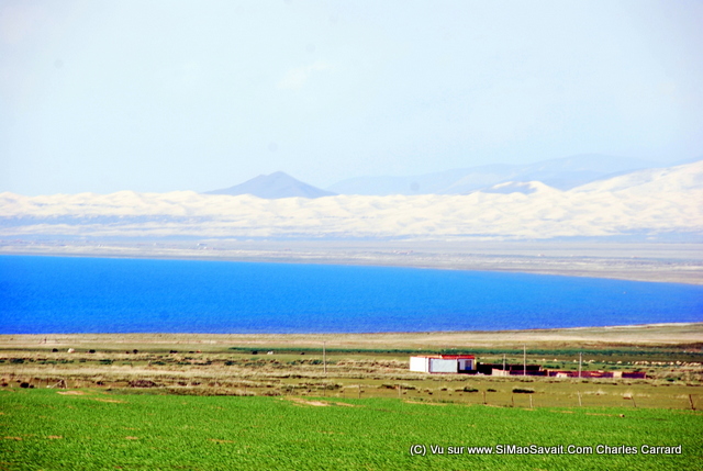 lac qinghai (11).JPG