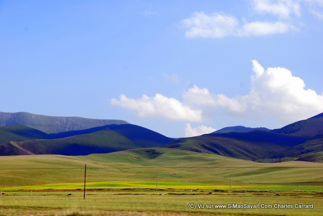 lac qinghai (11).JPG