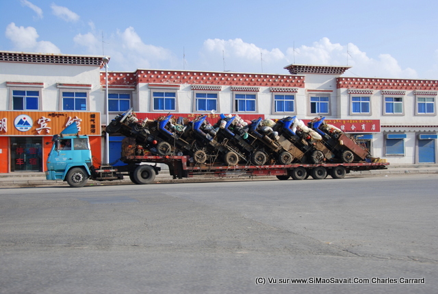 lac qinghai (11).JPG