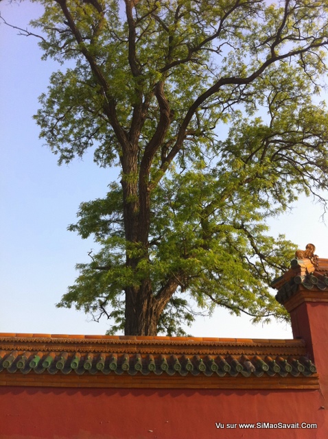 shenyang_palais_imperial_qing__30_.JPG